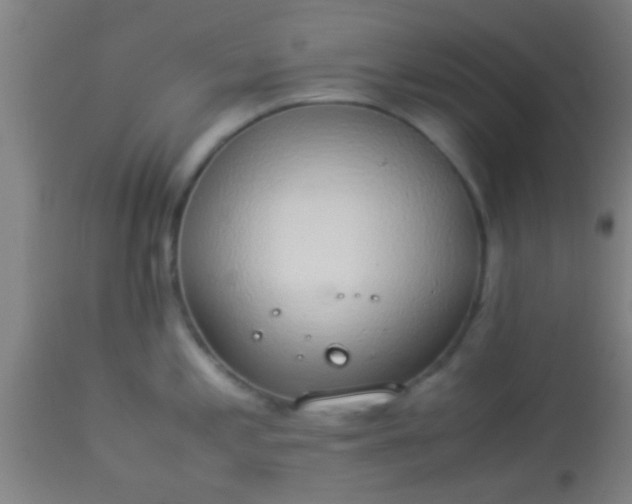 X0000114171197200910221644