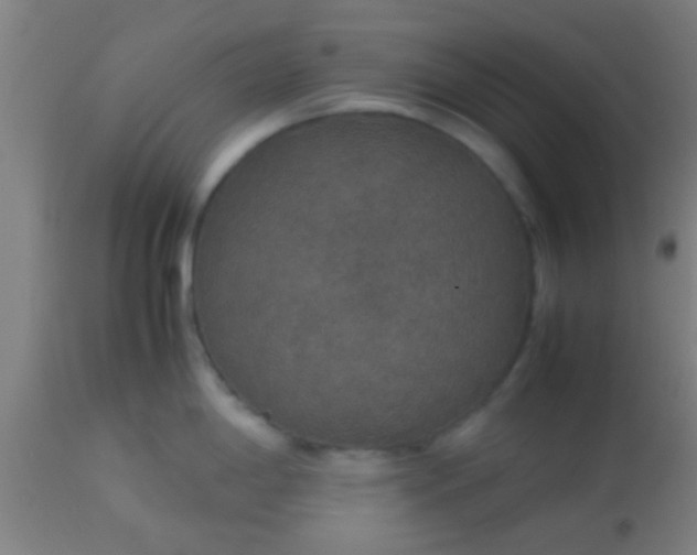 X0000114171198200910221644