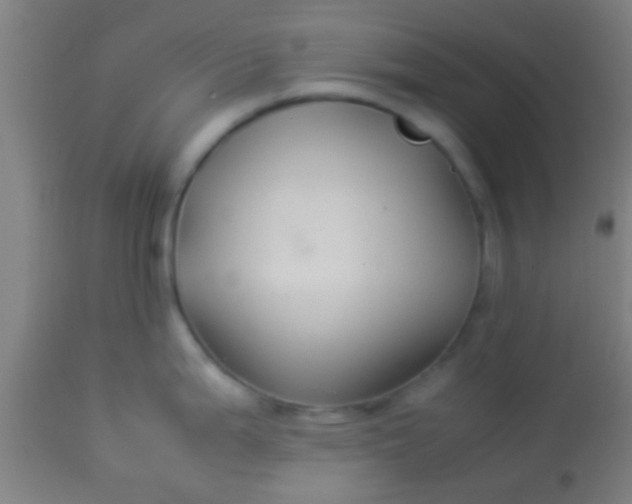 X0000114171199200910221644