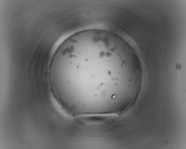 X0000114171200200910221643