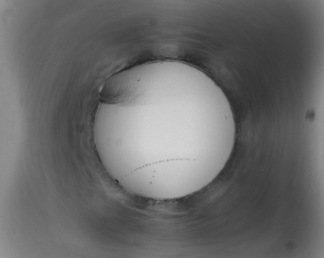 X0000114171201200910221643