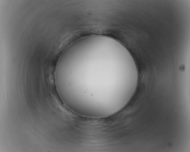 X0000114171202200910221643