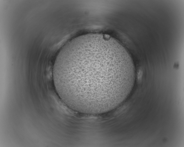 X0000114171204200910221643