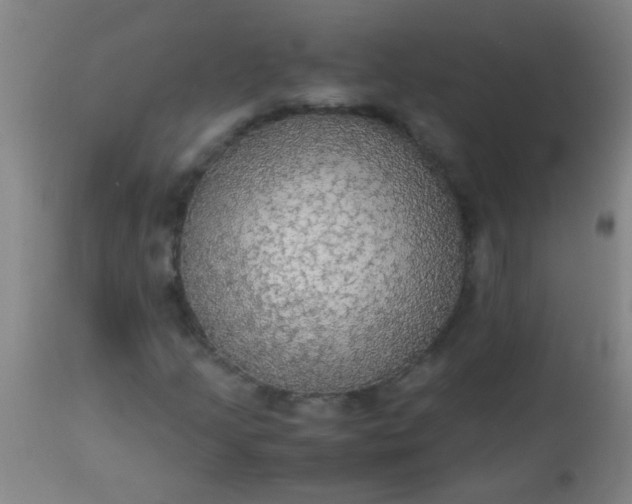 X0000114171205200910221643