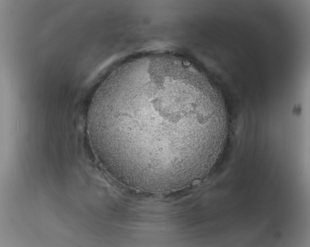 X0000114171206200910221643