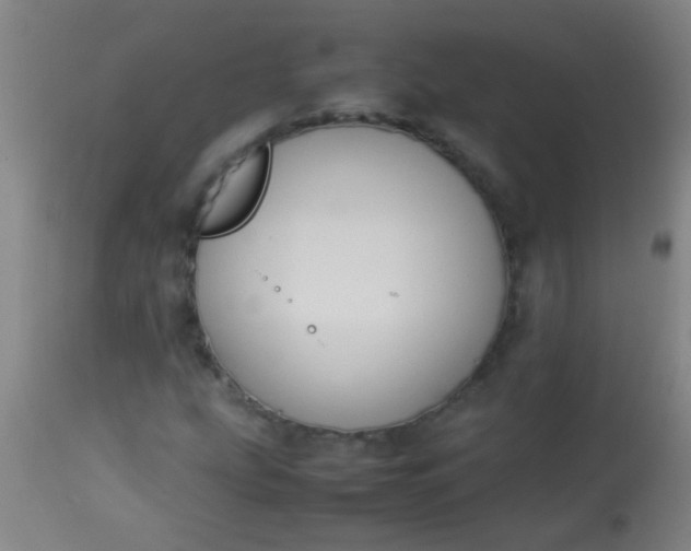 X0000114171207200910221643