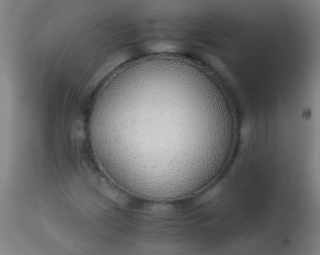 X0000114171209200910221643