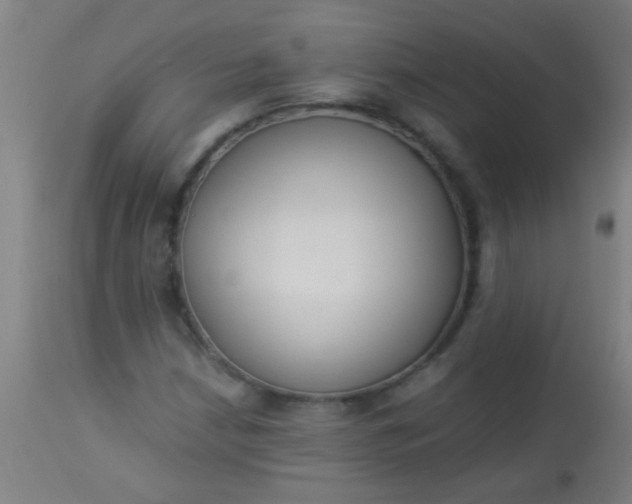 X0000114171210200910221643