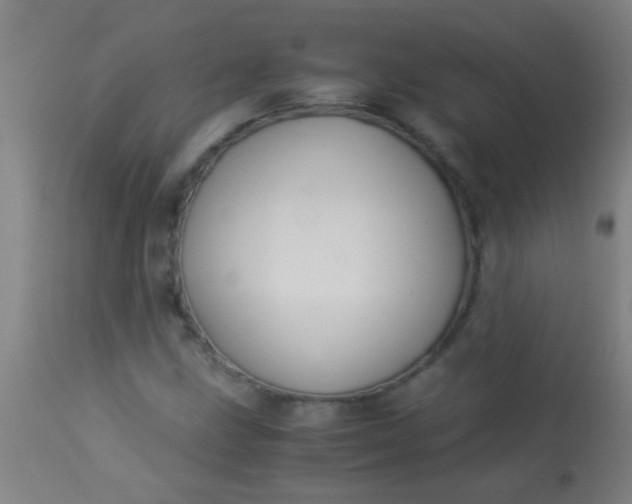 X0000114171211200910221643