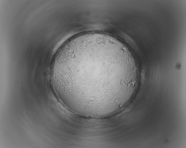 X0000114171212200910221643