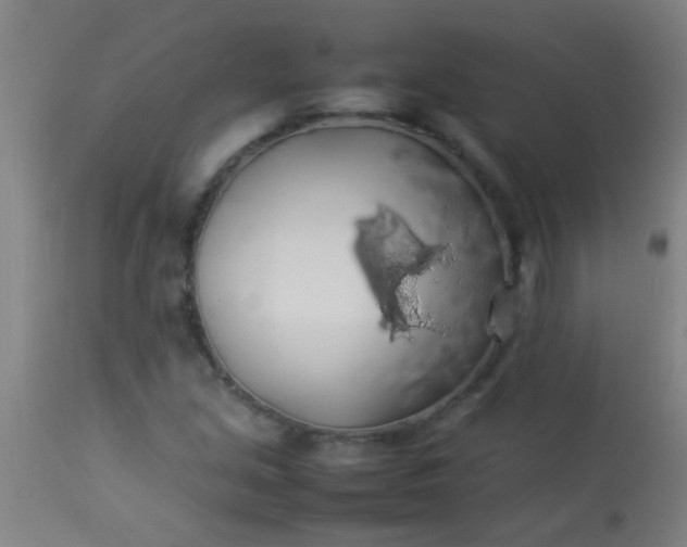 X0000114171213200910221643