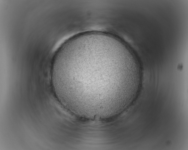 X0000114171214200910221643