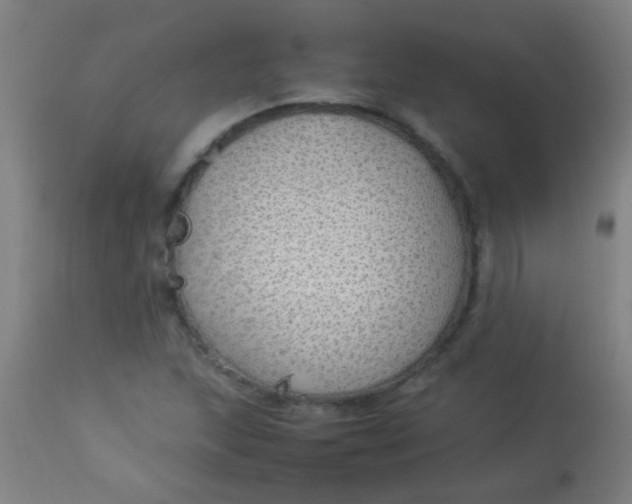 X0000114171215200910221643