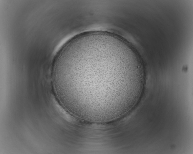 X0000114171216200910221643