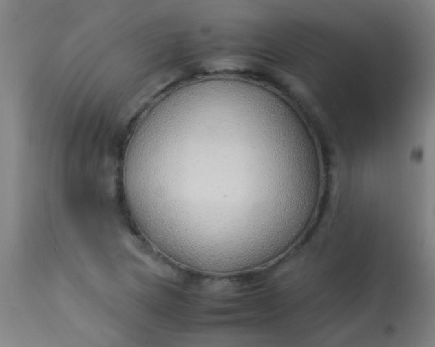 X0000114171217200910221643