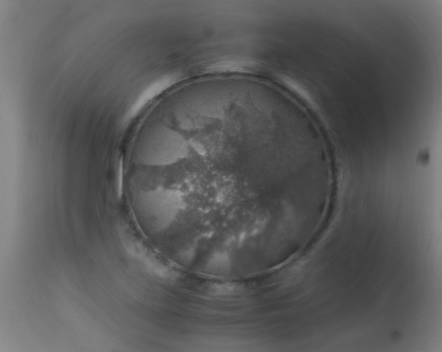 X0000114171219200910221643