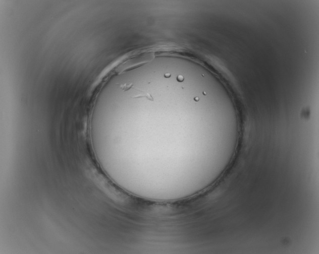 X0000114171220200910221643