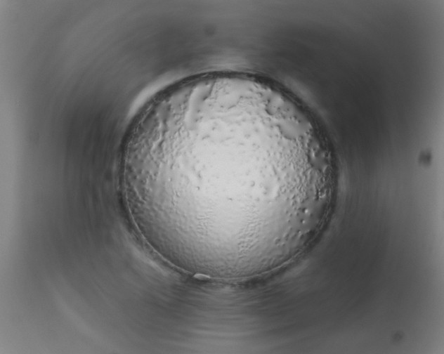 X0000114171222200910221643