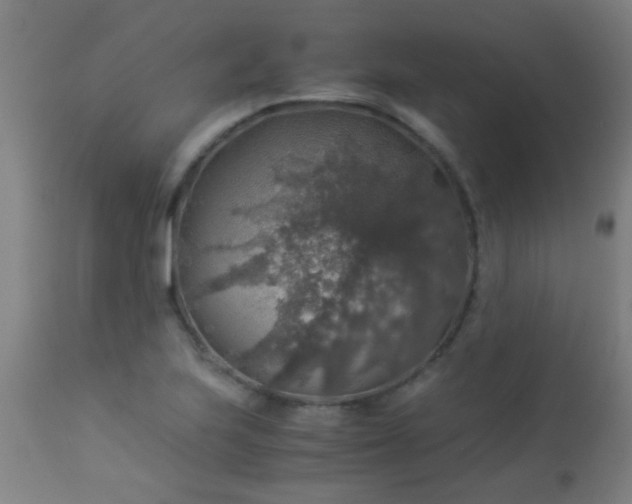 X0000114171223200910221643