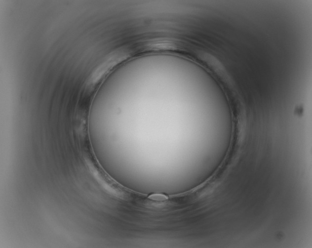 X0000114171225200910221643