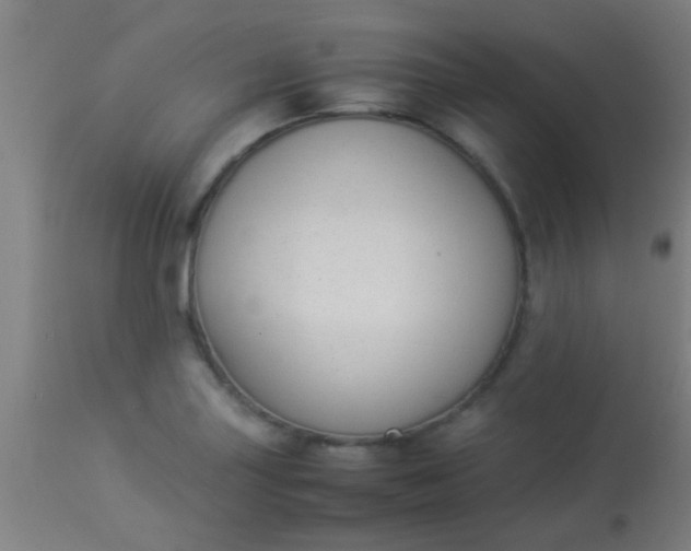 X0000114171227200910221643