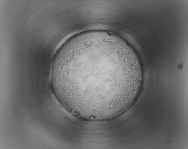 X0000114171228200910221643