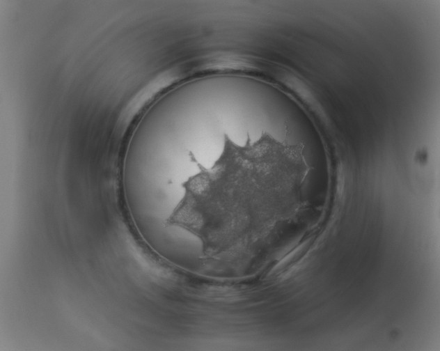 X0000114171229200910221643