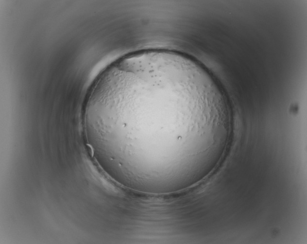 X0000114171230200910221643