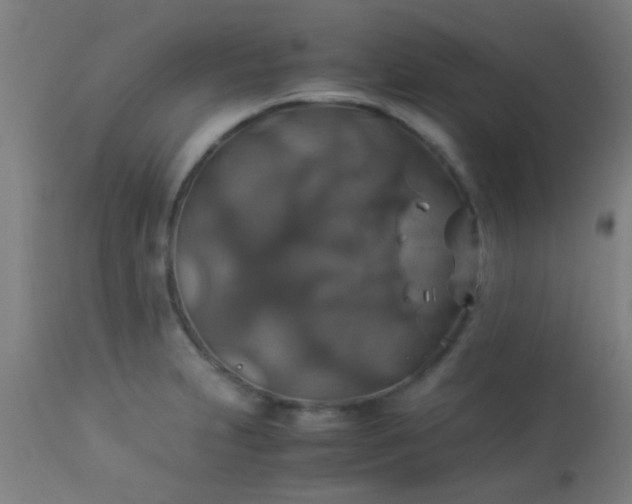 X0000114171231200910221643