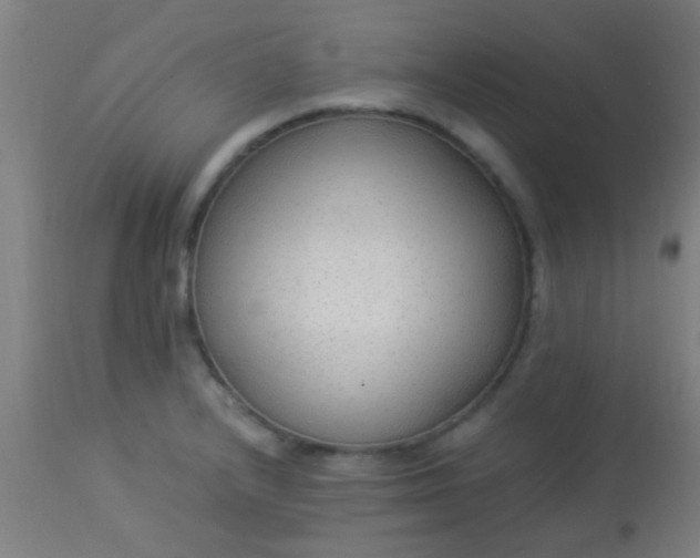 X0000114171232200910221643