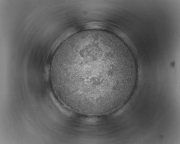 X0000114171233200910221643