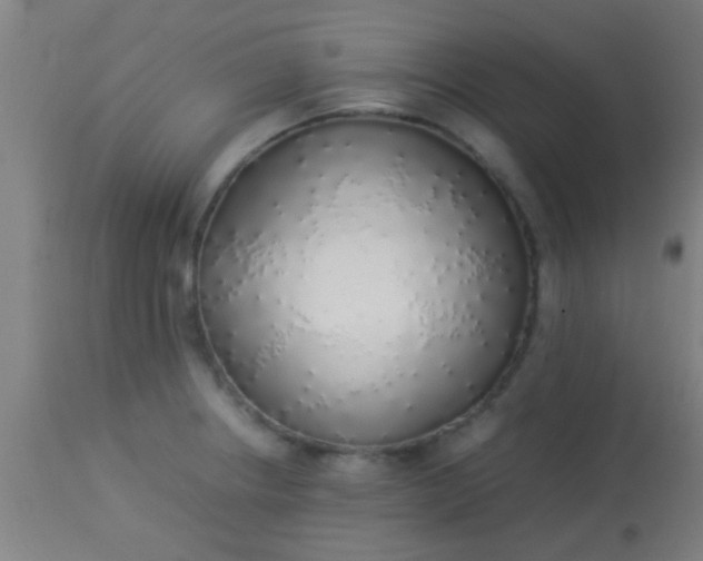 X0000114171234200910221643