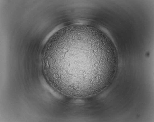 X0000114171235200910221643