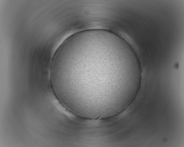 X0000114171236200910221643