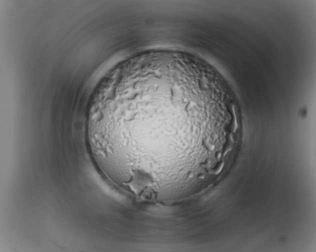 X0000114171237200910221643