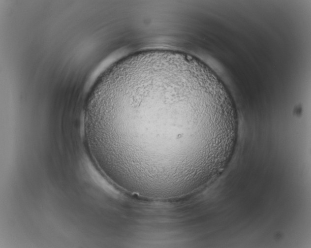 X0000114171238200910221643