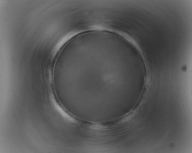 X0000114171239200910221643