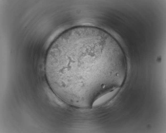 X0000114171240200910221643