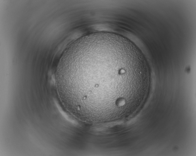 X0000114171241200910221643