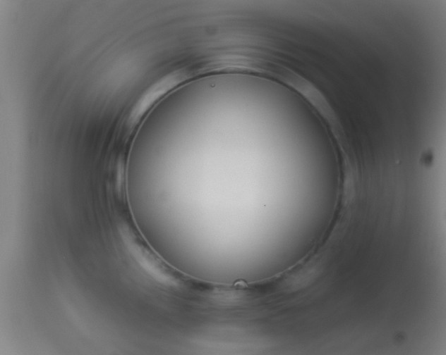 X0000114171242200910221643