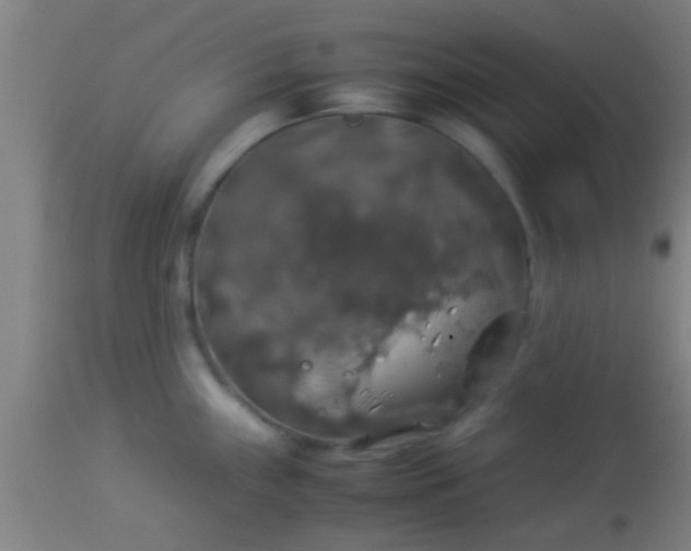 X0000114171243200910221643