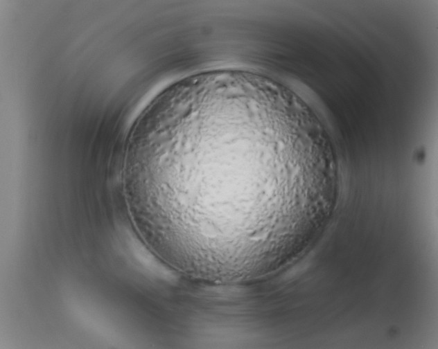 X0000114171244200910221643