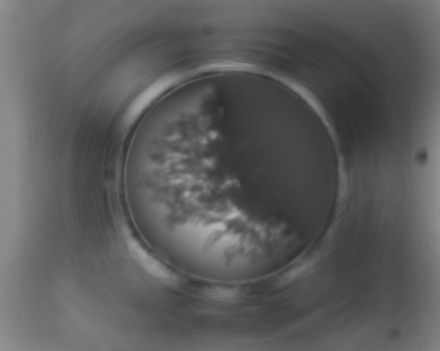 X0000114171245200910221643