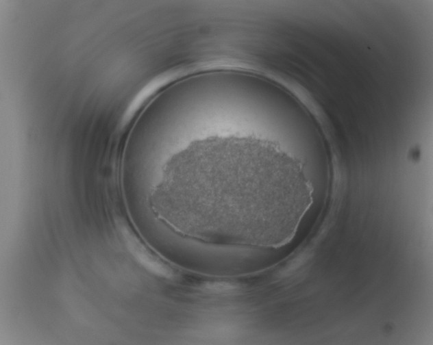 X0000114171246200910221643