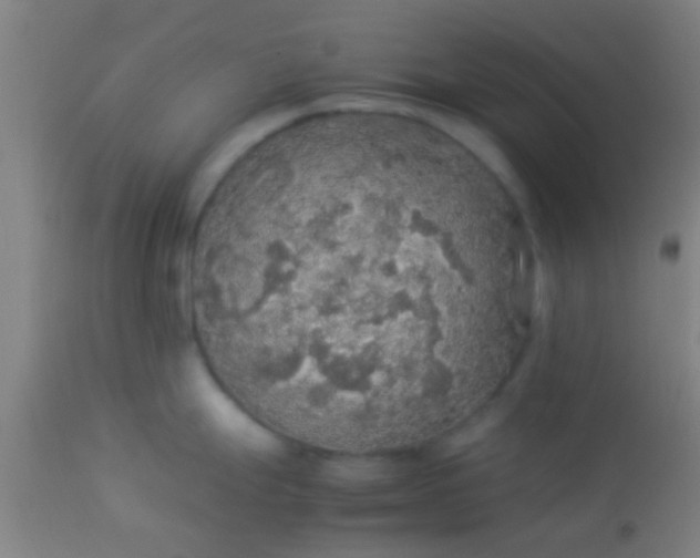 X0000114171247200910221643