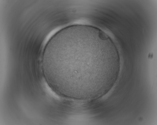 X0000114171248200910221643