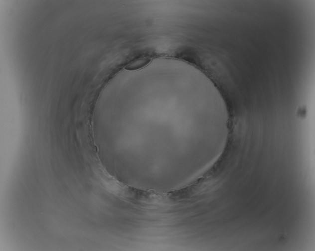 X0000114171249200910221643