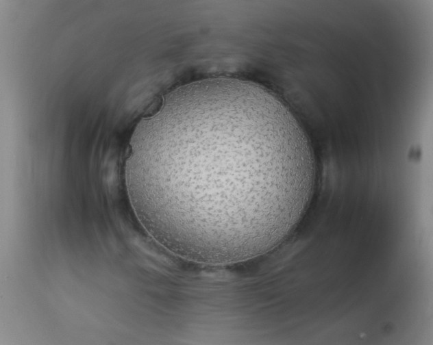 X0000114171250200910221643