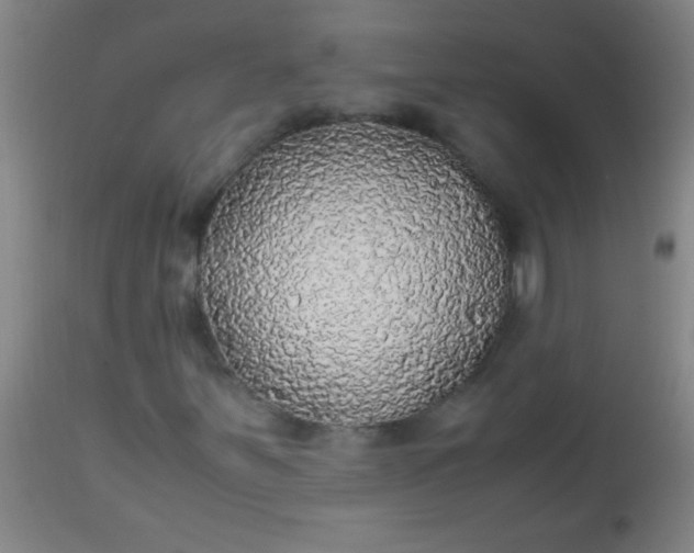 X0000114171251200910221643