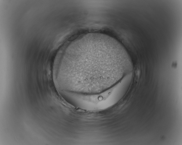 X0000114171252200910221643